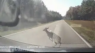 CLOSE CALL Hunting Season