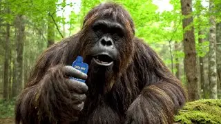 BIGFOOT VLOG: Bigfoot Finds Geek Bar!