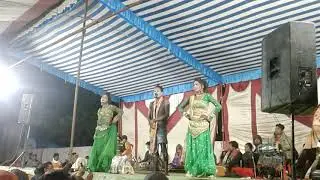 Sapera babu
