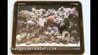 Hands on Review of the Motorola Xoom Android 3.0 Tablet PC