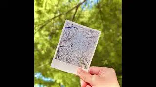 슬러 (slur) - 사월의 너 [official Audio]