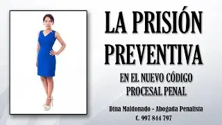 PLAZOS DE LA PRISIÓN PREVENTIVA Y PROLONGACIÓN - DINA MALDONADO AYSA