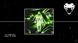 DJ Komatose - Crowd Go Boom