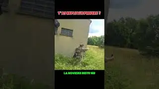 Noveske top 1 #war #airsoft #airsoftcqb #warzone #fakegun #airsoftfrance #milsim #army #paintball