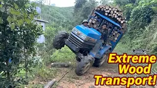 Complete Logging Process &ndash; Ultra-fast Log Transport on the Mountain!