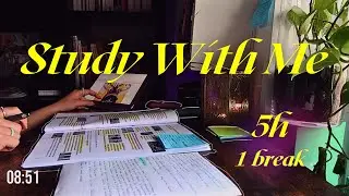 STUDY WITH ME | 5 HOURS, 1 break in the middle, no music, background noise, cozy ambiance/library