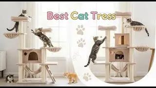 TOP 5 Best Cat Trees 2026 | Sturdy, Stylish & Fun&mdash;This Cat Tree Has It All!
