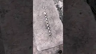 crystal silver bracelet 92.5 Pokhara Nepal