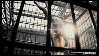 Gangstha şarkısı Harley puinn