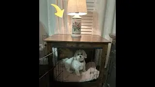 Review NicBex Small Dog Crate Furniture