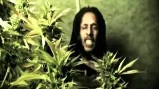 Julian Marley - Boom draw