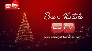 I Vostri Video Messaggi di Auguri di Buon Natale!! 2024
