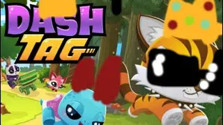 My first dash tag video(tagged 4 pets)