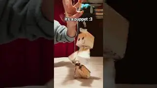 puppet 🙂&zwj;↕️🙂&zwj;↕️                                        #puppet #stringpull #art #craft #artandcraft