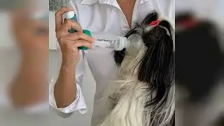 Review: Espa&ccedil;ador Agachamber Vet Broncodilatador Veterin&aacute;rio Spray MG
