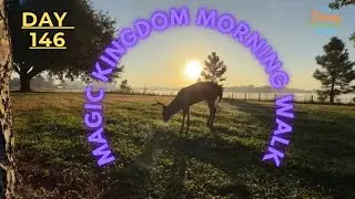 🔴 LIVE: Morning &mdash; Calm Disney World Walk & Opening Show | Day 146 | #TDWSS