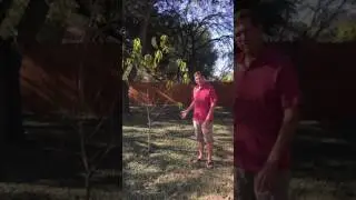 Lawn Tree Placement Tips with Larry Womack
