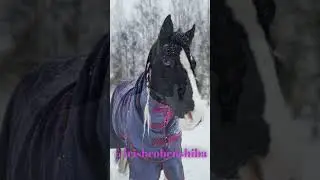Let's taste the snow