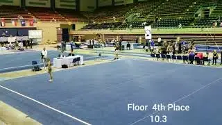 2019 Level 6 USA Gymnastics Region 8 Championships