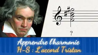 L'accord Tristan peut-il s'analyser harmoniquement ? (OUI)