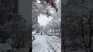 24hrs Snow in KOREA 🇰🇷 | Winter in Seoul #shorts #korea #minivlog #visitkorea