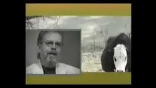 Tom Regan on Negative Rights from A Cow at My Table