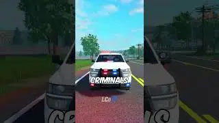 Best Roleplay Server In ERLC