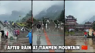 Walking After Rain at Tianmen Mountain, China 🇨🇳 | Misty Nature Ambience | Vertical Walks