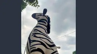 Spirits Up