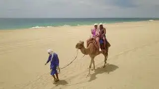 Camel Safari in the Mexican Desert at Baja California