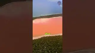 Discovering Lake Hillier: The Mesmerizing Pink Lake in Australia #shorts   #LakeHillier