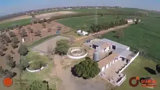 Hacienda en Sevilla - Fincas Rústicas Gilmar