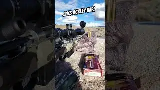 Some fireforming and quick sight-in with the .243 Ackley Improved. #PristineAction #Hornady #243AI