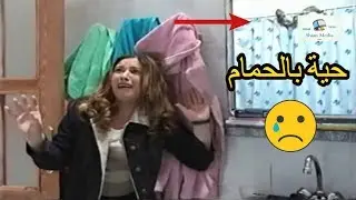 صرصور بقلب كاسة الشاي حيايا وسحلية كمان  ـ مقلب صبحي لتطفيش الأنسة  ـ مشهد مضحك من قلة زوء وكترة غل