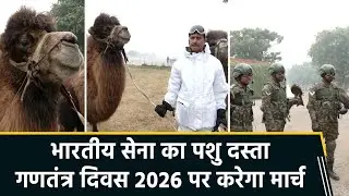 Republic Day 2026: Indian Army Animals to March on Kartavya Path | Rare & Historic Display