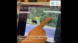 How does an AI "see" what's in a photo?