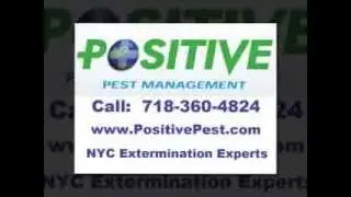 Exterminator Manhattan - Positive Pest Management (718) 360-4824