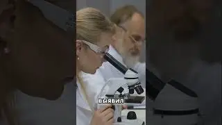 Под километрами льда &mdash; жизнь, которая поражает воображение.