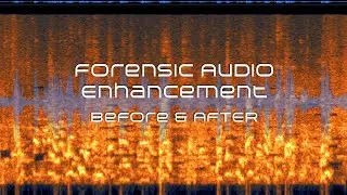 Busy Restaurant - Before and After - Forensic Audio Enhancement