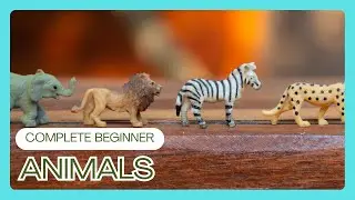 English Immersion for Complete Beginners - Animals - Comprehensible English Input