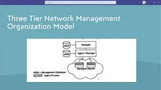 ORGANIZATION MODEL -- NETWORK MANAGEMENT MODEL