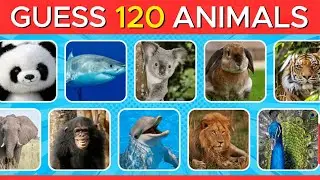 Guess the Animal by Picture | Easy Animal Quiz 🐾