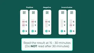 IQ Doctor Lateral Flow Testing and Registration Process Animation