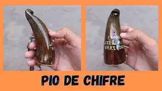 Codorniz atraída pelo som do pio de chifre