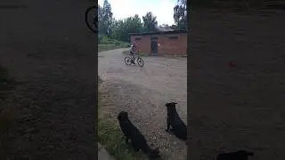 #деревня  развлечение в деревне 🏡