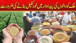 Need To Make The Country Self-Sufficient In Pulse Production | Breaking News | City 41