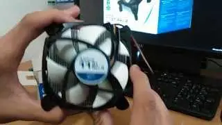 Artic Alpine 11 GT Rev 2 unboxing