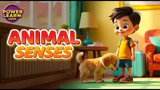 Animal Senses Explained | How Animals Use Smell to Survive