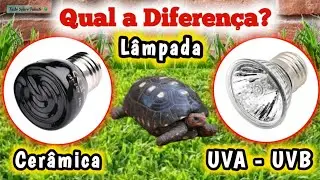 Lâmpada de Cerâmica e UVA / UVB. Qual a diferença.