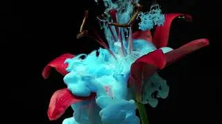 Incredible short film by artist and director Thomas Blanchard